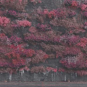 Title: Even in Arcadia