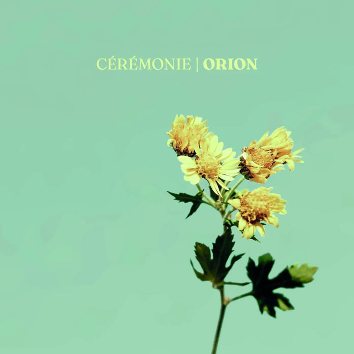 Title: Orion