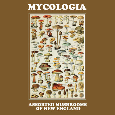 Title: Assorted Mushrooms of New England