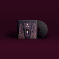 Title: In the Ruins (Pre-order)