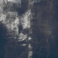 Title: Blight
