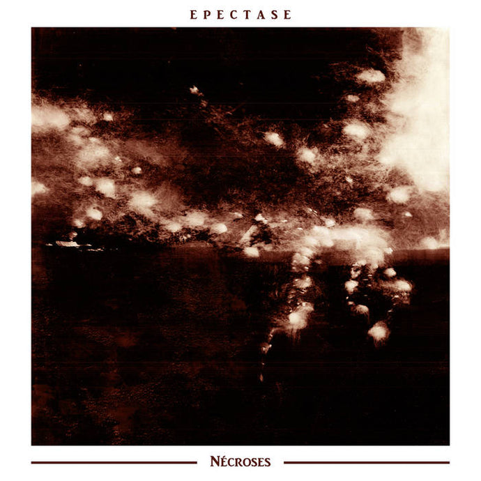 Title: Nécroses