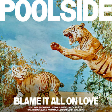 Title: Blame it all on Love