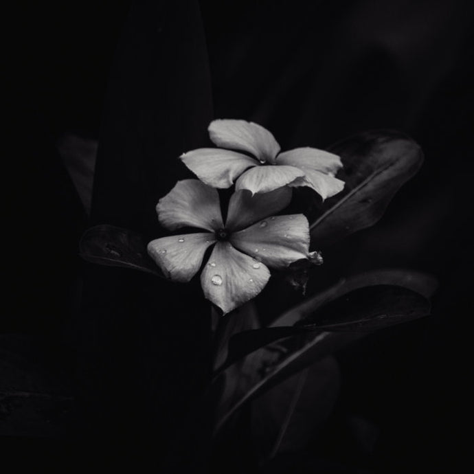 Title: Ephemeral