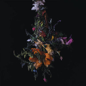 Title: Nature Morte (lavender ed.)