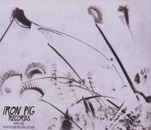 Artist: POTOP - Album: CHANNELS