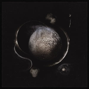 Artist: ENTHRONED - Album: COLD BLACK SUNS -DIGI-