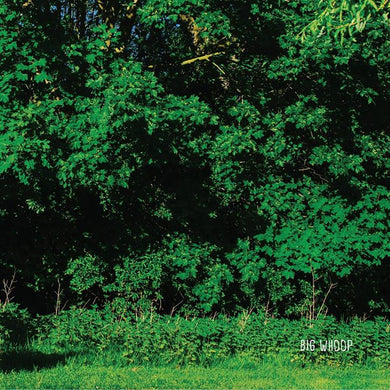 Artist: Big Whoop - Album: Big Whoop