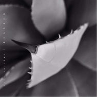 Artist: Serries, Dirk - Album: Epitaph