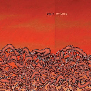 Artist: Knut - Album: Wonder
