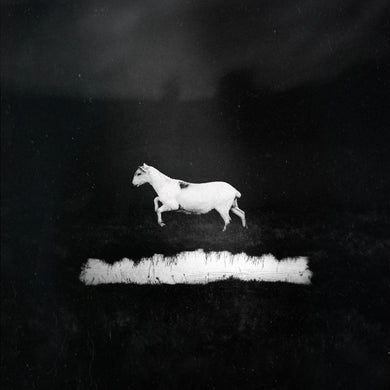 Artist: LES DISCRETS - Title: PREDATEURS