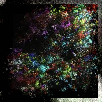 Artist: Nagaarum - Title: Covid Diaries