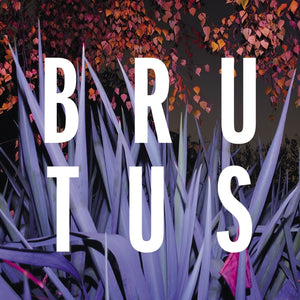 Artist: BRUTUS Title: BURST