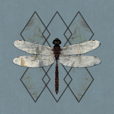 Artist: OHHMS - Album: CLOSE