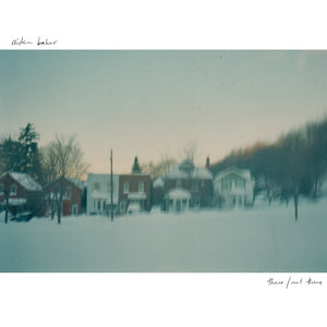 Artist: Baker, Aidan Album: There / Not There