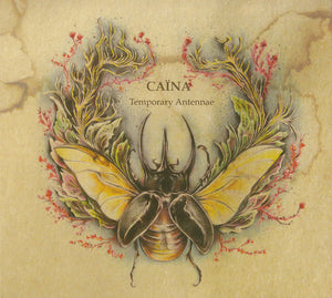 Artist: Caïna - Album: Temporary Antennae