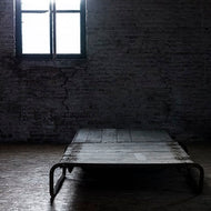 Artist: Charnia Album: Het Laatste Licht