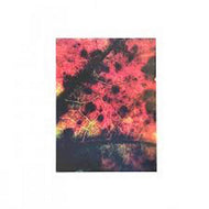 Artist: Common Eider, King Eider Album: A Wound of Earth