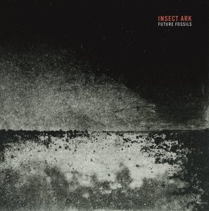 Artist: INSECT ARK - Album: Future Fossils