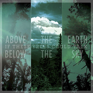 Artist: IF THESE TREES COULD TALK - Title: ABOVE THE EARTH BELOW THE SKY (RI)