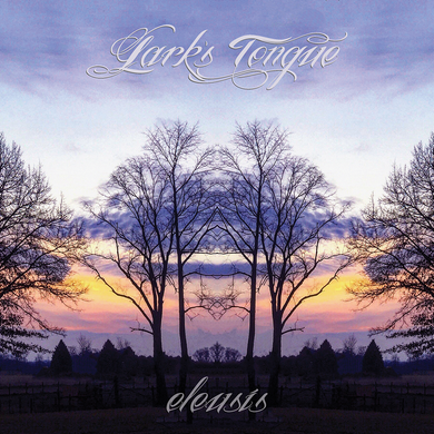 Artist: LARK'S TONGUE Album: Eleusis