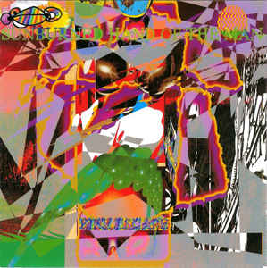 Artist: Sunburned Hand Of The Man - Album: Fire Escape
