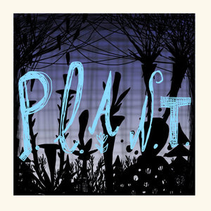 Artist: Ã‰ric Normand & Jim Denley - Album: Plant