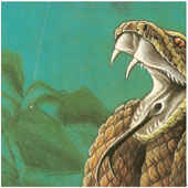 Artist: Shepherds - Album: Loco Hills