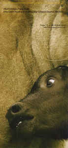 Artist: Albert Ortega - Album: Fuzzy Pupa