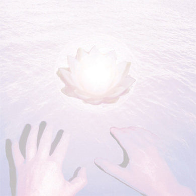 Artist: Dolphins Into The Future - Album: The Music Of Belief