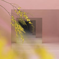 Artist: Witxes Album: Orients