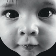 Artist: Wolf Vanwymeersch - Album: The Early Years