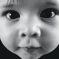Artist: Wolf Vanwymeersch - Album: The Early Years