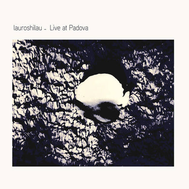 Lauroshilau - Title: Live at Padova