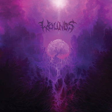 Artist: Wounds Album: Light Eater