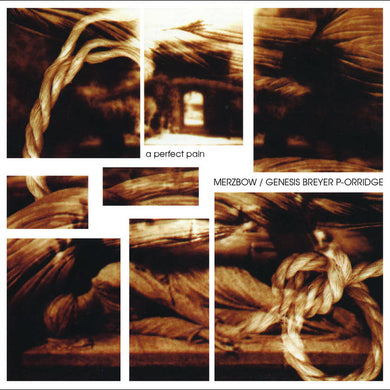 Artist: MERZBOW/GENESIS BREYER P-ORRIDGE - Album: A PERFECT PAIN