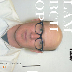 Artist: Lambchop - Album: This (Is What I Wanted To Tell You)(White)