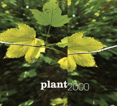 Artist: 2000 - Album: plant