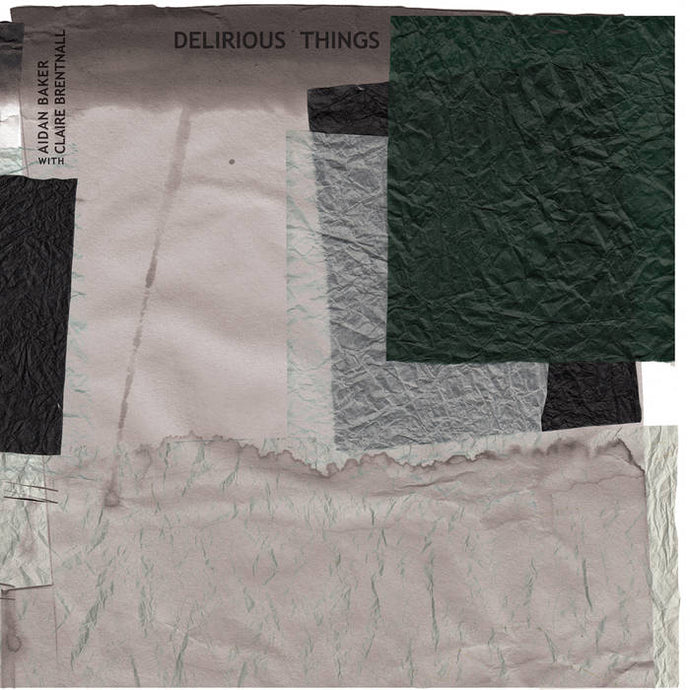 Artist: Aidan Baker with Claire Brentnall Album: Delirious Things