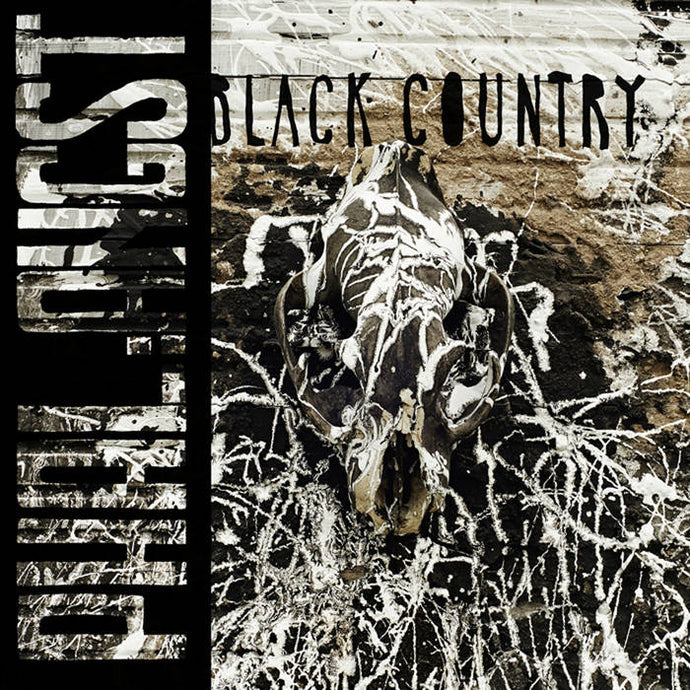 Artist: phal:angst - Album: Black Country