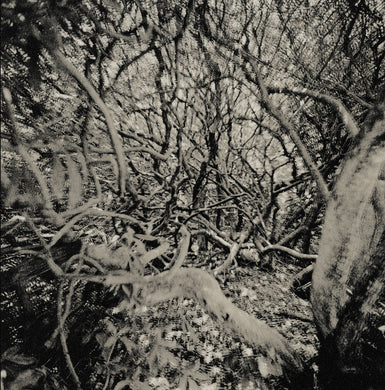 Artist: Duo pour 454 Chordes - Name: Duo pour 454 Chordes