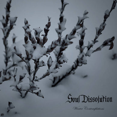 Artist: Soul Dissolution - Title: Winter Contemplations
