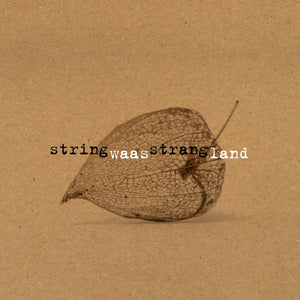 Artist: StringStrang - Album: Waasland