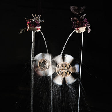 Artist: SHIELD PATTERNS - Album: CONTOUR LINES LP