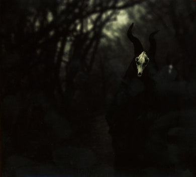 Artist: WHITE WARD - Title: FUTILITY REPORT