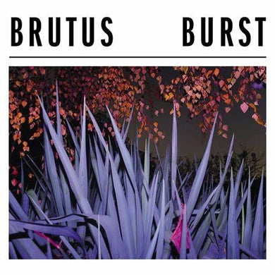 Artist: BRUTUS - Album: BURST (Ltd. glow in the dark vinyl)