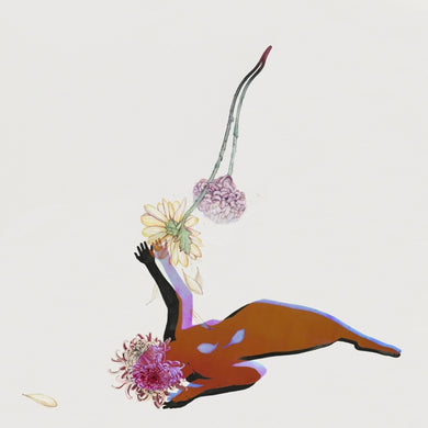 Artist: FUTURE ISLANDS - Album: FAR FIELD