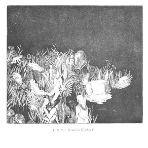 Artist: R.O.T. - Album: Klein Eiland